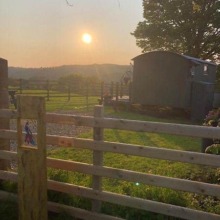 The Peacock Shepherds Hut At Hafoty Boeth Corwen Dış mekan fotoğraf