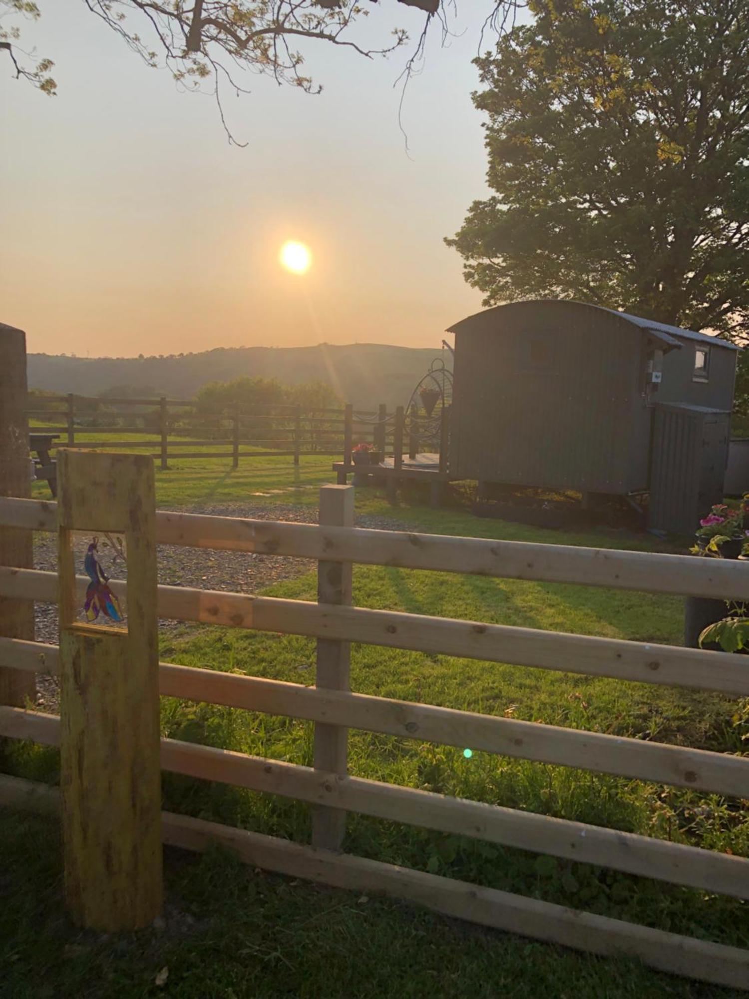 The Peacock Shepherds Hut At Hafoty Boeth Corwen Dış mekan fotoğraf