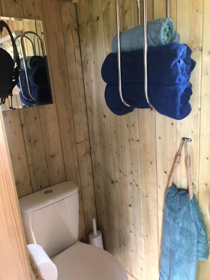 The Peacock Shepherds Hut At Hafoty Boeth Corwen Dış mekan fotoğraf