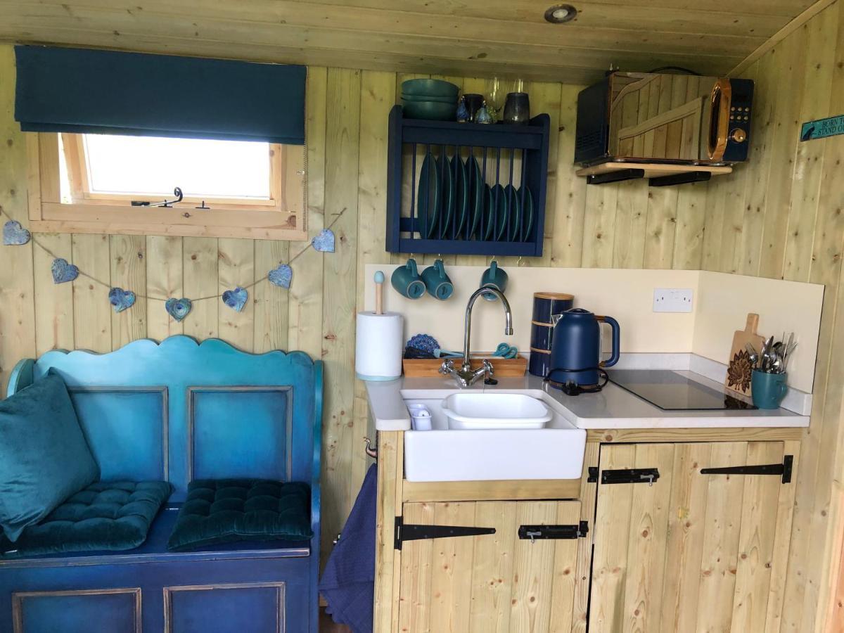 The Peacock Shepherds Hut At Hafoty Boeth Corwen Dış mekan fotoğraf
