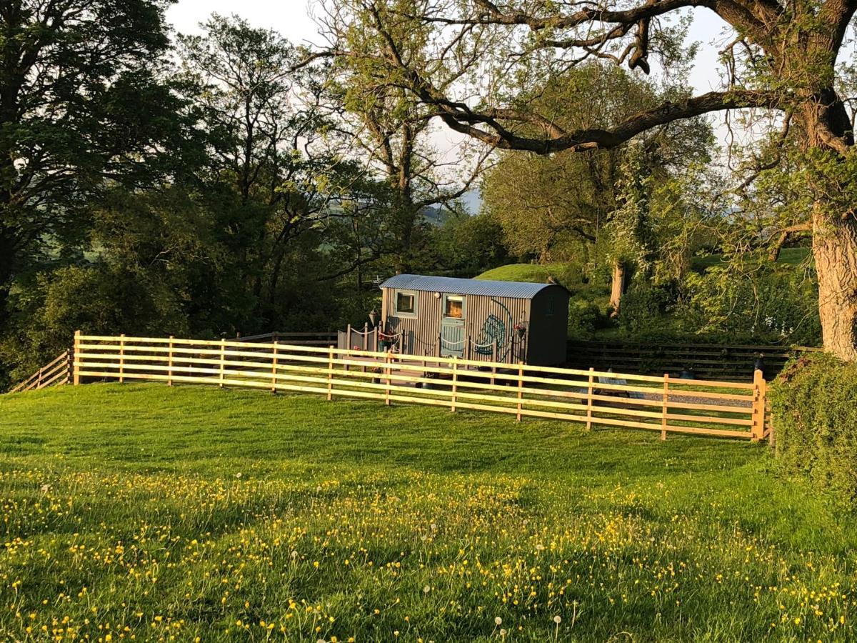 The Peacock Shepherds Hut At Hafoty Boeth Corwen Dış mekan fotoğraf