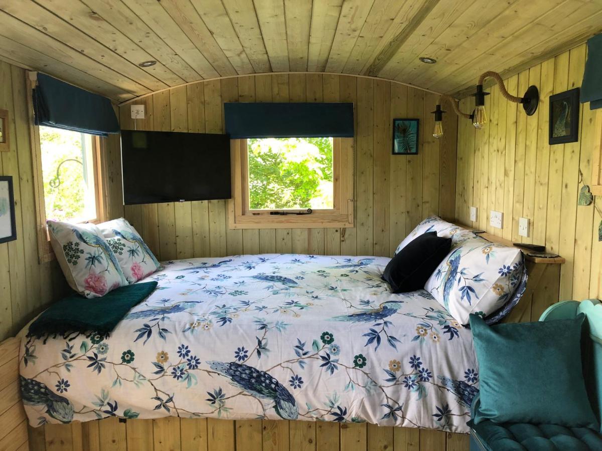 The Peacock Shepherds Hut At Hafoty Boeth Corwen Dış mekan fotoğraf
