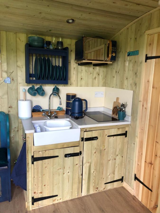 The Peacock Shepherds Hut At Hafoty Boeth Corwen Dış mekan fotoğraf