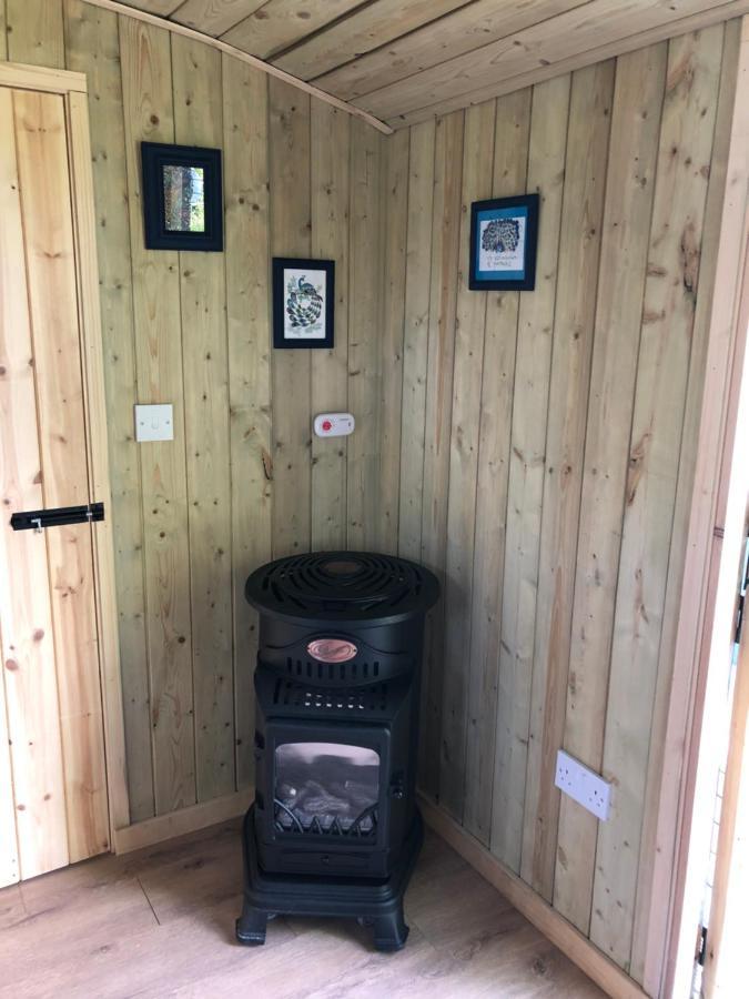 The Peacock Shepherds Hut At Hafoty Boeth Corwen Dış mekan fotoğraf